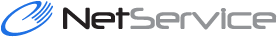 Netservice's Logo
